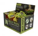 Komodo Jelly Pots Fruit Reptile Food .56oz