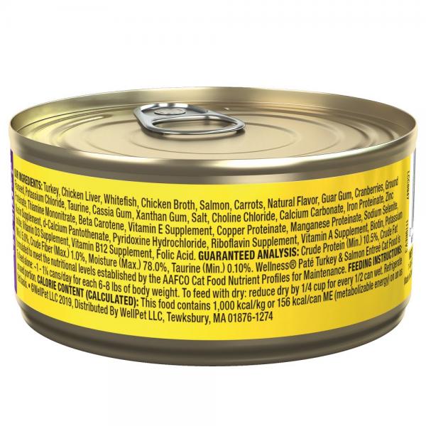 Wellness Complete Health Cat Turkey & Salmon Pate 5.5oz Can