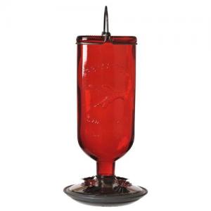 Perky-Pet Opus Antique Bottle Hummingbird Feeder Glass Red 16oz