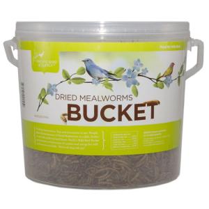Pacific Bird & Supply Dried Mealworms Bucket 28oz