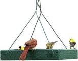 Panacea Audubon Going Green Platform Feeder 12 x 12 x 2.5''