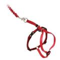 Petsafe Come With Me Kitty Harness & Bungee Leash Medium Red
