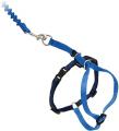 Petsafe Come With Me Kitty Harness & Bungee Leash Small Royal Blue
