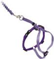 Petsafe Come With Me Kitty Harness & Bungee Leash Medium Lilac