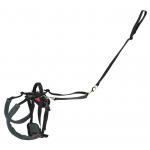 CareLift Rear Support Harness Small