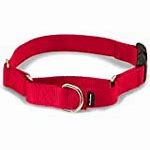 PetSafe Quick Snap Martingale Dog Collar Petite 3/8'' Red