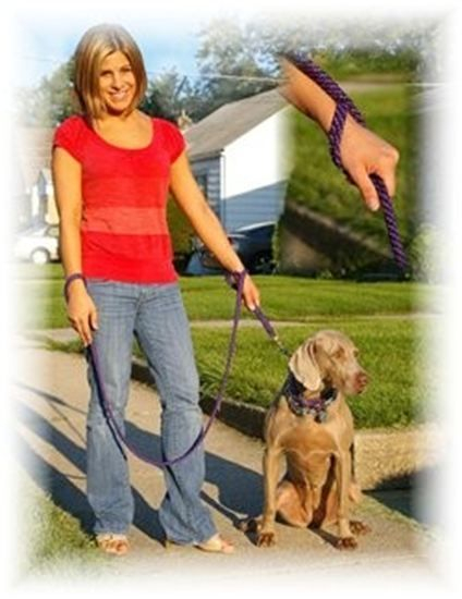 Top Knot-ch Tack Dog Handle 1' x 1/2''
