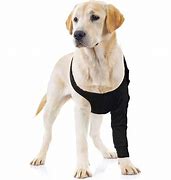Suitical Dog Recovery Sleeve Black LG