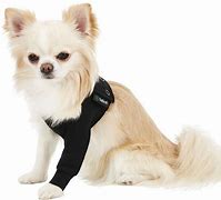 Suitical Dog Recovery Sleeve Black SM