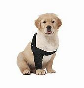 Suitical Dog Recovery Sleeve Black XS