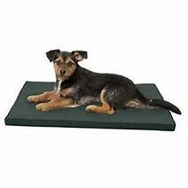 Comfort Zone Water Repellent Bed 19x33" (Assortment may vary)