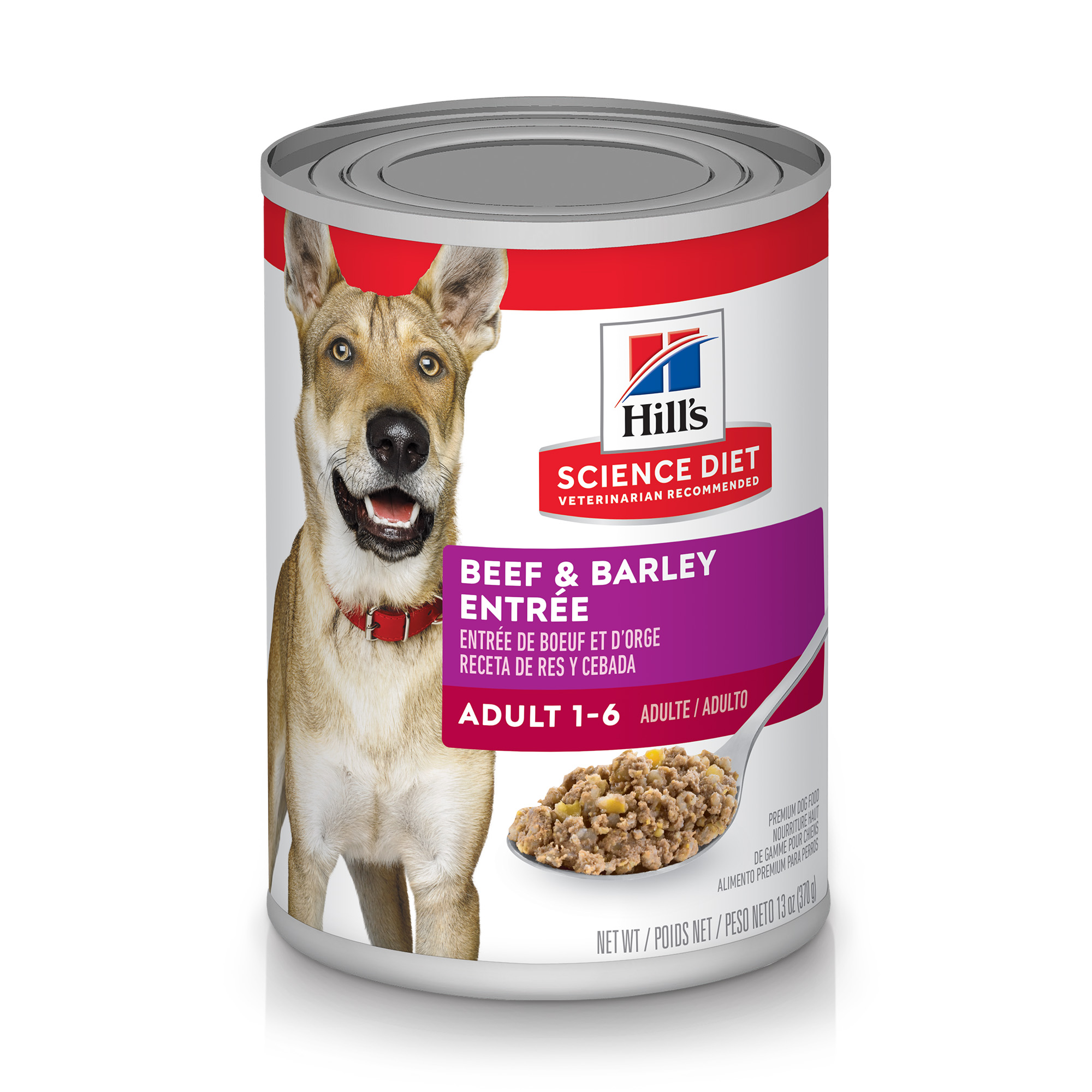 Science Diet Wet Adult Dog Beef & Barley Entree 13oz Can