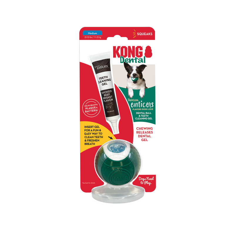 Kong X Tropiclean Enticers Teeth Cleaning Gel & Kong Ball Medium