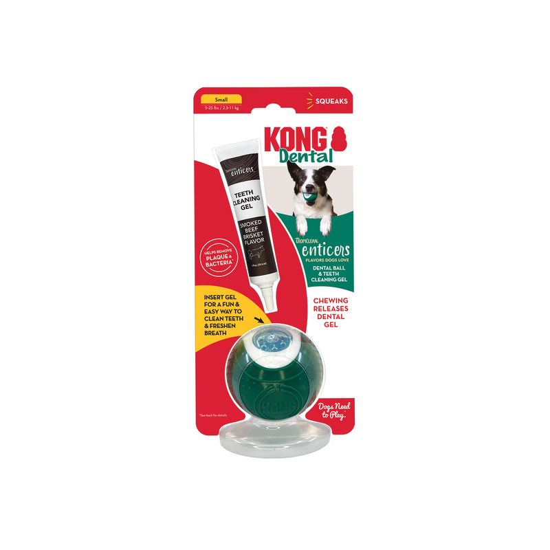 Kong X Tropiclean Enticers Teeth Cleaning Gel & Kong Ball Small