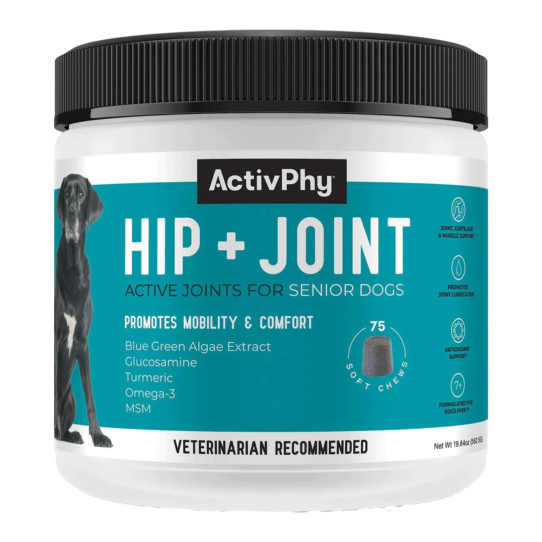 Activphy Hip + Joint Soft Chews For Senior Dogs 75 Count