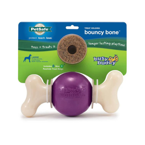 PetSafe Busy Buddy Bristle Bone Large