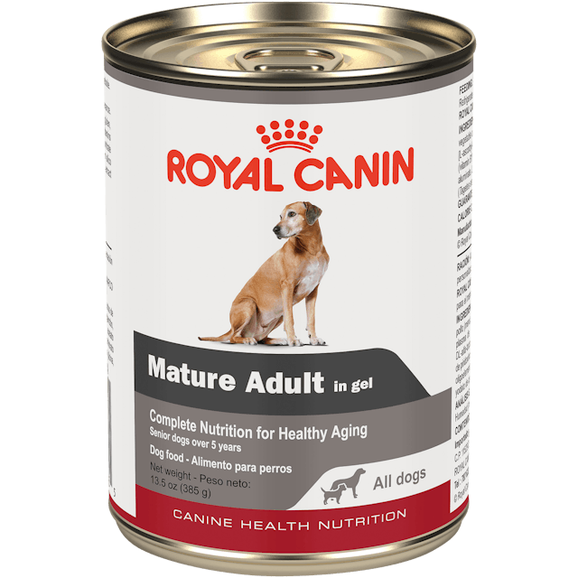 Royal Canin Dog Mature Adult In Gel 13.5oz Can