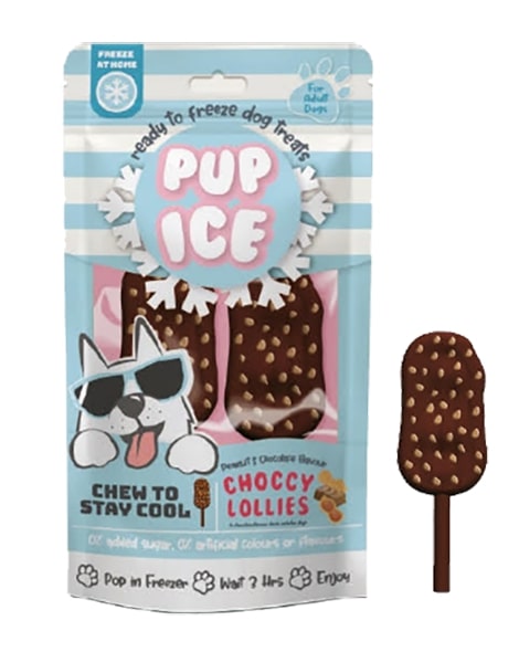 Pup Ice Chocolate & Peanut Butter Lollies Medium 2 Pack