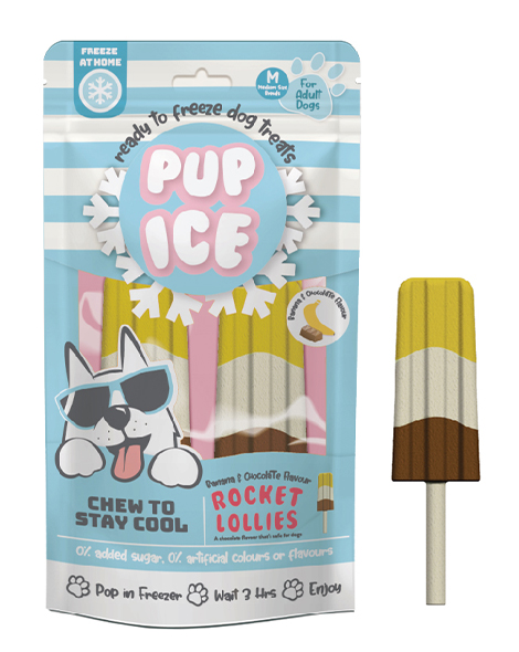 Pup Ice Banana & Chocolate Lollies Medium 2 Pack