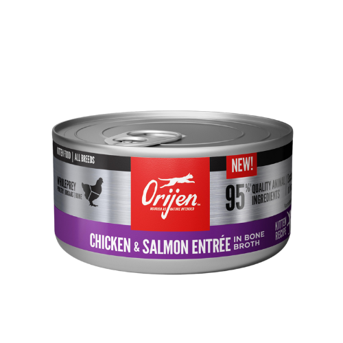 Orijen Wet Kitten Chicken & Salmon in Broth 3oz Can