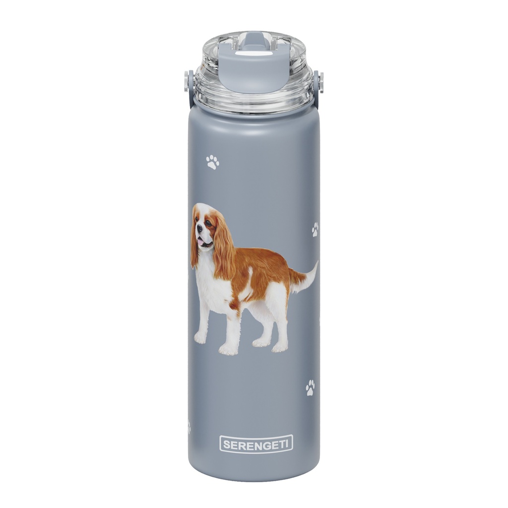 Serengeti King Charles Cavalier Stainless Steel Water Bottle 24oz