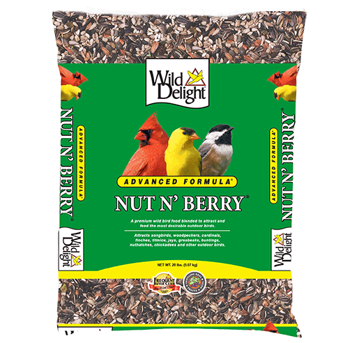 Wild Delight Nut N Berry 20#