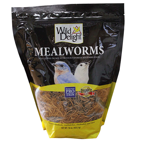 Wild Delight Mealworms 16oz