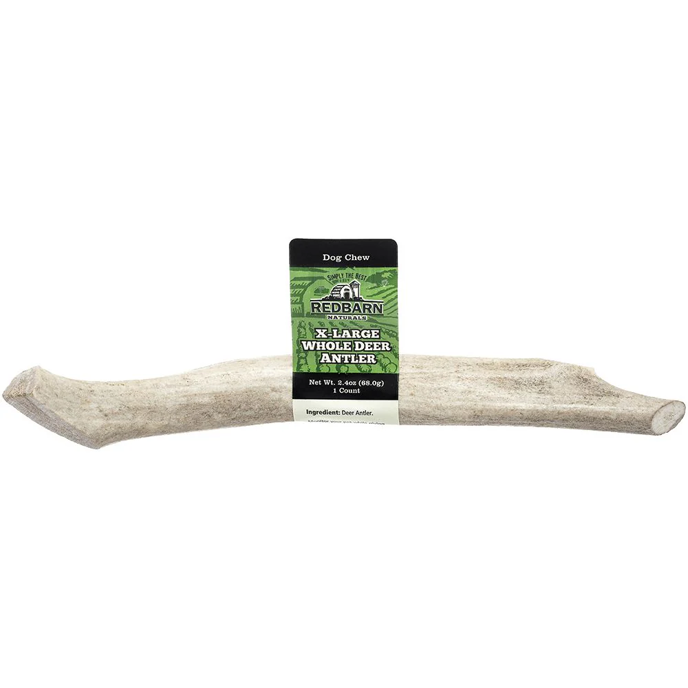 Redbarn Dog Chew Whole Deer Antler Extra Large