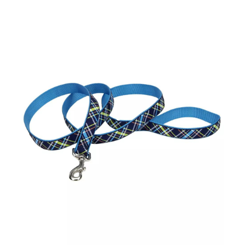 Coastal Pet Attire Ribbon Dog Leash 1'' x 6' Navy Blue Plaid