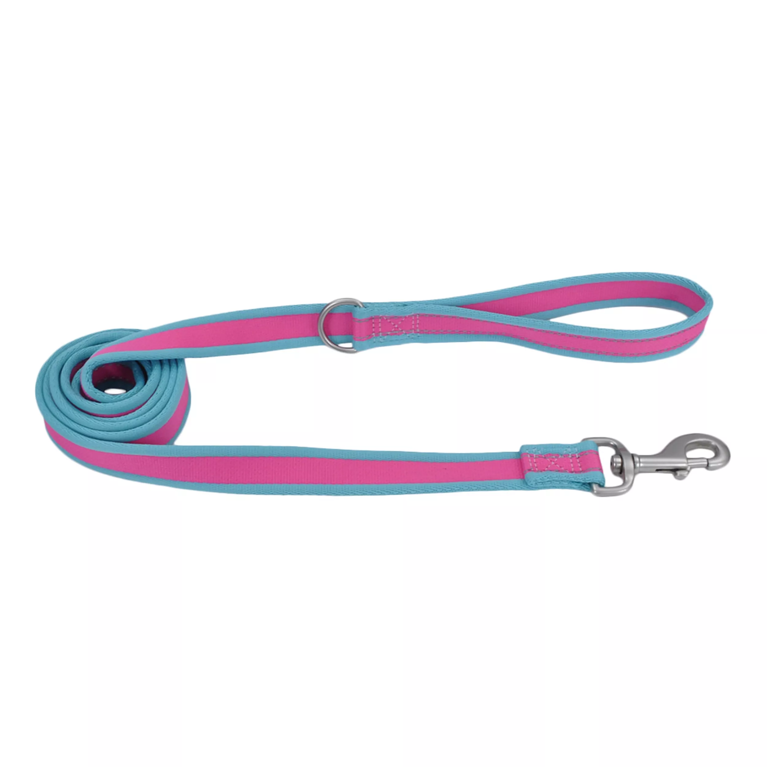 Coastal Pet Attire Pro Reflective Dog Leash 1'' x 6' Fuscia Teal