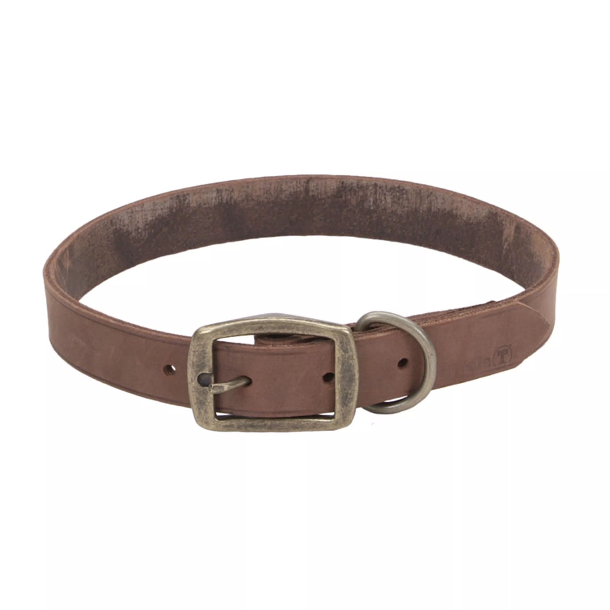 Coastal Rustic Leather Dog Collar 1 x 22'' Chocolate