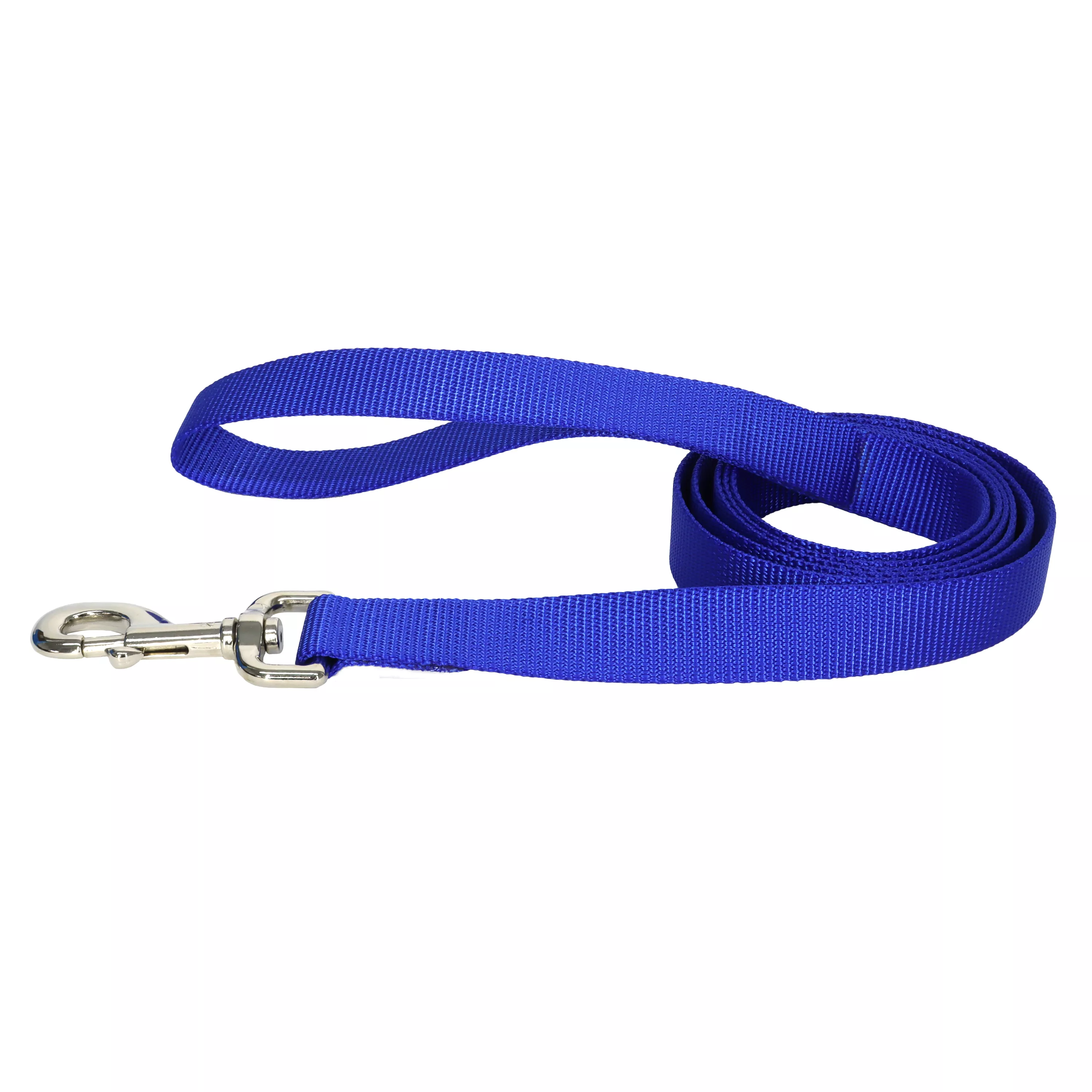 Coastal Nylon Dog Leash 1'' x 6' Blue