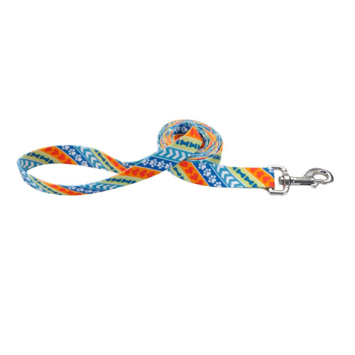 Coastal Pet Attire Dog Leash 5/8'' x 6' Rescue