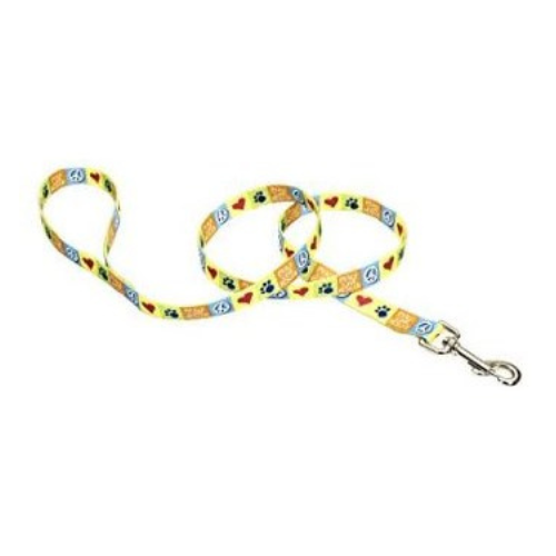 Coastal Pet Attire Dog Leash 1'' x 6' Rescue