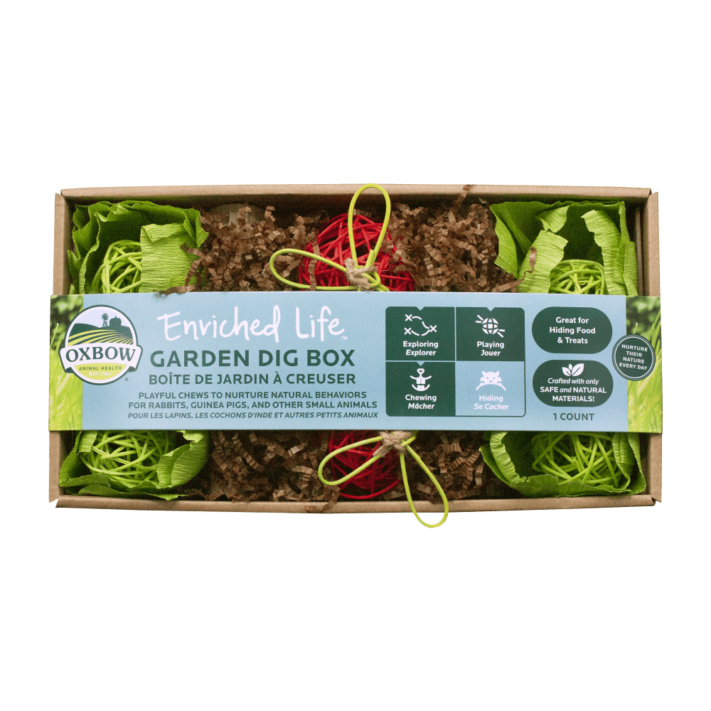 Oxbow Toy Enriched Life Garden Dig Box