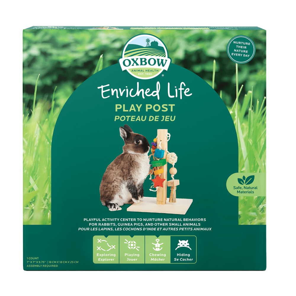 Oxbow Enriched Life Wood Play Post