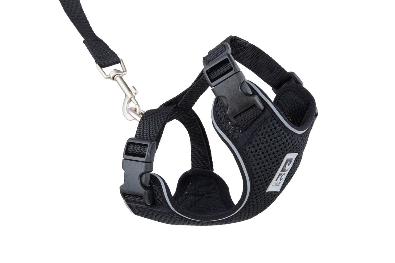 RCPET Adventure Kitty Harness L Black