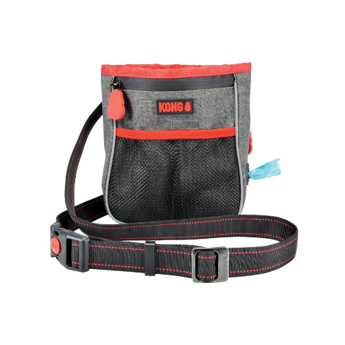 Kong Travel Hiking Bag