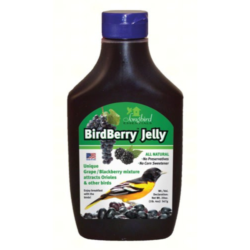 Songbird Essentials Birdberry Grape Oriole Jelly Wild Bird Food 20oz