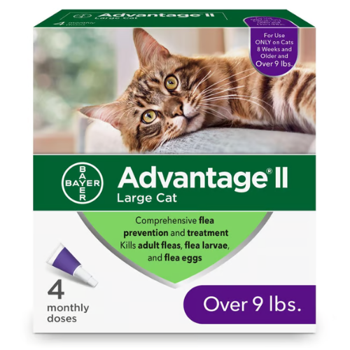 Advantage II Topical Large Cat 9#+ Flea Treatment 4CT