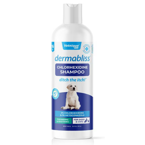 Dermabliss Anti-Bacterial Anti-Fungal Pet Shampoo 16oz