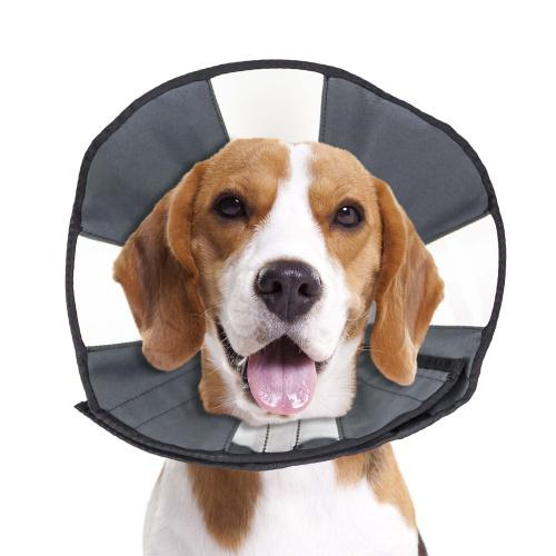 Zenpet Zen Cone Soft Recovery Cone Large