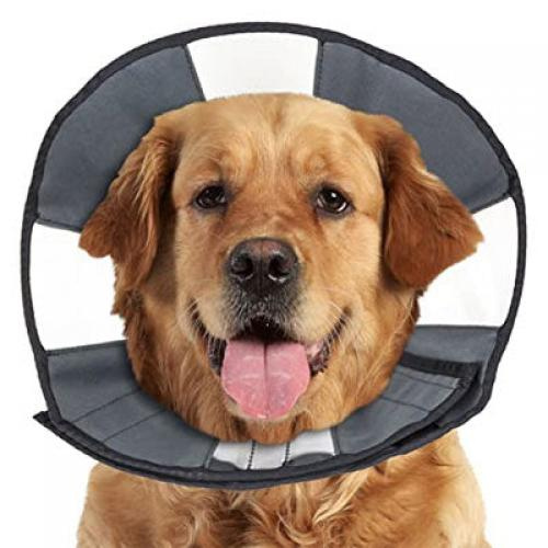 Zenpet Zen Cone Soft Recovery Cone Extra Large