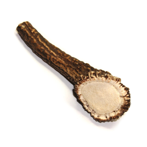 Tuesdays Natural Dog Company Royal Brown Deer Antler Whole LG