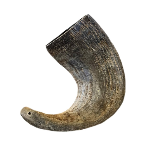Buffalo Horn Medium by Fieldcrest Farms