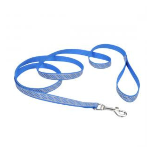 Lazer Brite Reflective Dog Leash 1'' x 6' Blue Wave