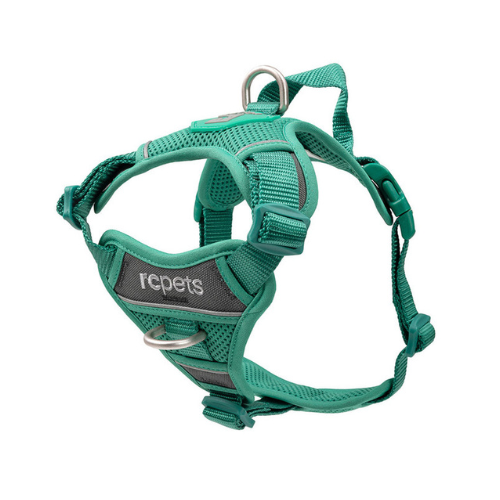 MOMENTUM HARNESS L PARAKEET