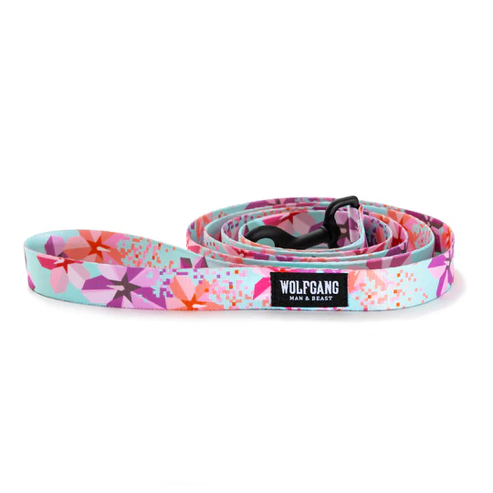 Wolfgang Digiflower Leash 1"X6'