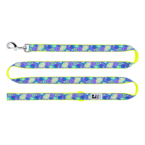 RC Pets Dog Leash 1"x6' Citrus