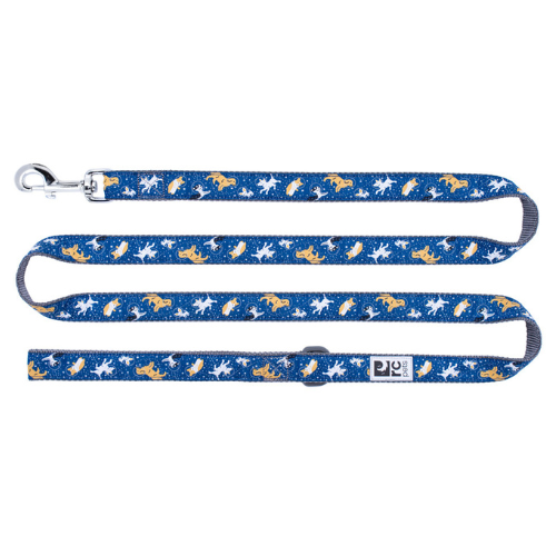 RC Pets Dog Leash 1"x6' Space Dogs